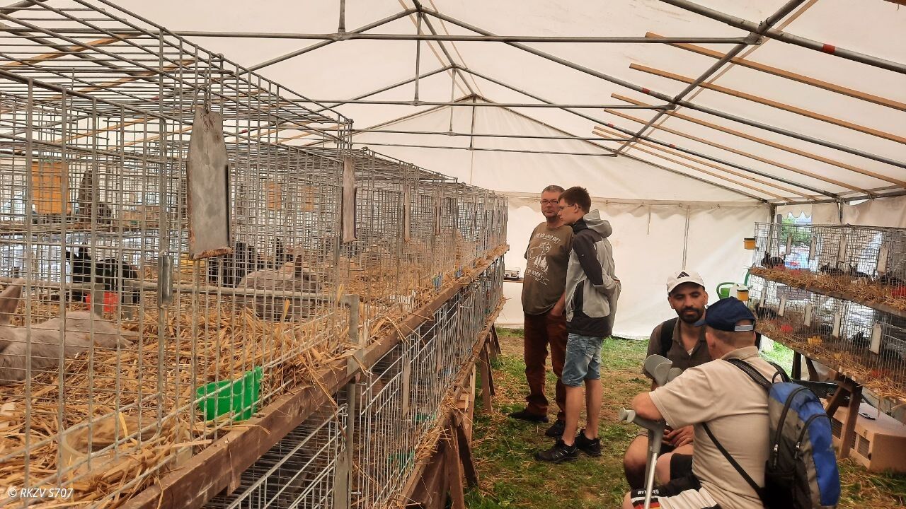 Zu Besuch bei der Jungtierschau des S6 in Annaberg
